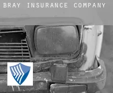 Bray  insurance company