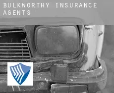 Bulkworthy  insurance agents