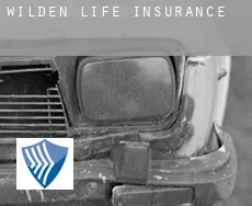 Wilden  life insurance