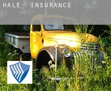 Hale  insurance