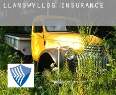 Llangwyllog  insurance