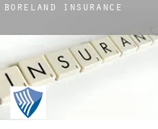 Boreland  insurance