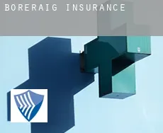 Boreraig  insurance