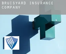 Bruisyard  insurance company