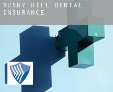 Bushy Hill  dental insurance