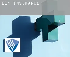 Ely insurance
