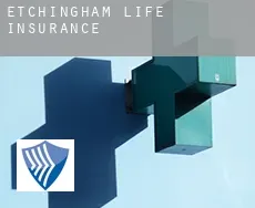 Etchingham  life insurance