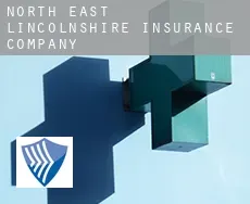 North East Lincolnshire  insurance company