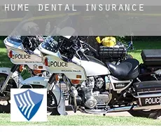 Hume  dental insurance
