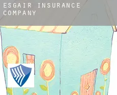Esgair insurance company