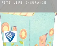 Fitz  life insurance