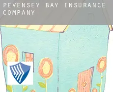 Pevensey Bay  insurance company