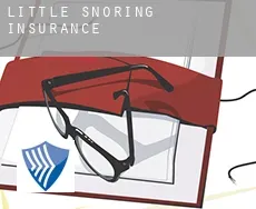 Little Snoring  insurance