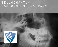 Bellochantuy homeowners insurance