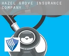 Hazel Grove  insurance company